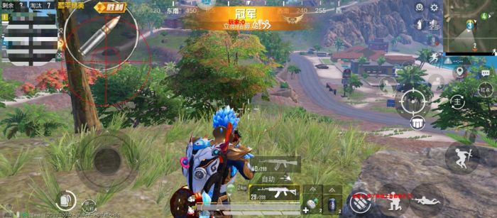 火焰鸟和平精英辅助器 - 人气辅助整合直装版
